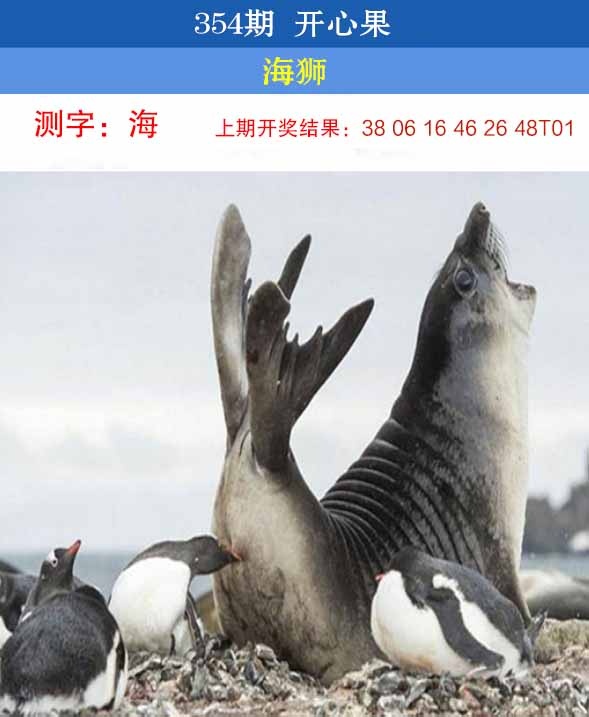 354期开心果[图]