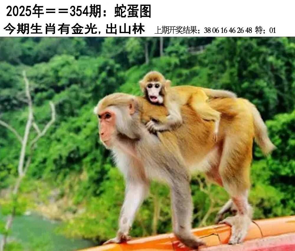 354期另版蛇蛋图[图]