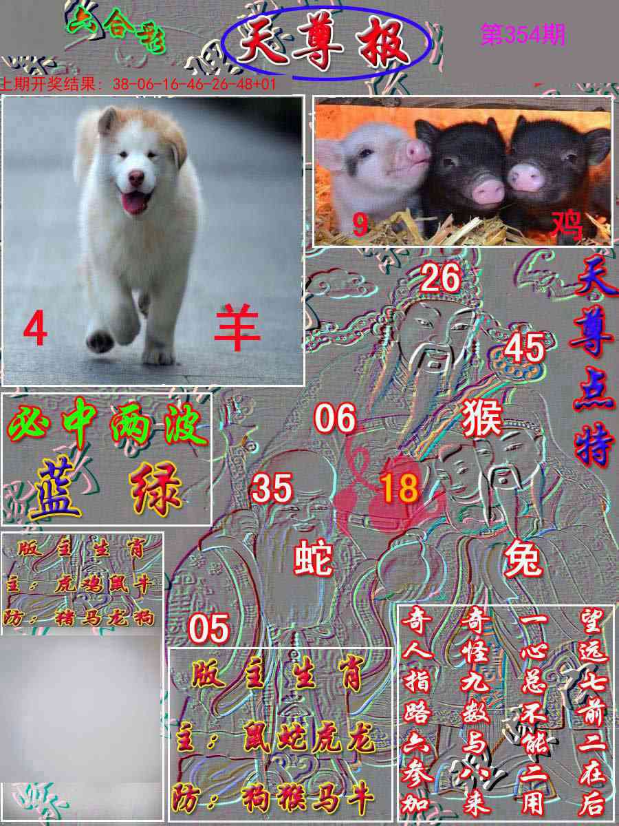 354期天尊报[图]