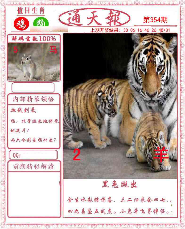 354期正版通天报[图]