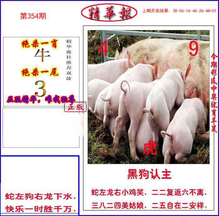 354期新精华报报[图]