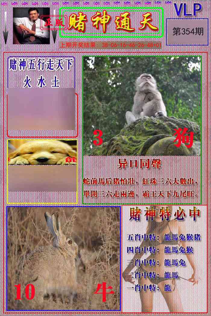 354期赌神通天报[图]