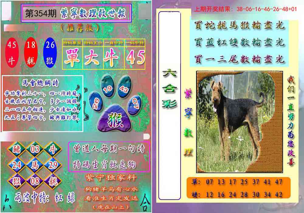 354期数理救世报[图]