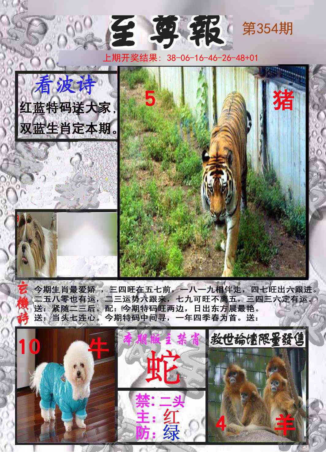 354期至尊报[图]