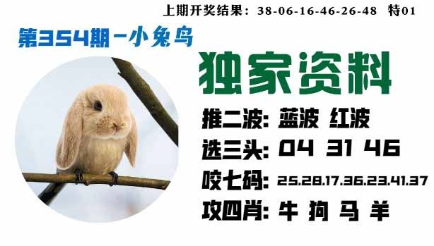 354期小兔鸟[图]